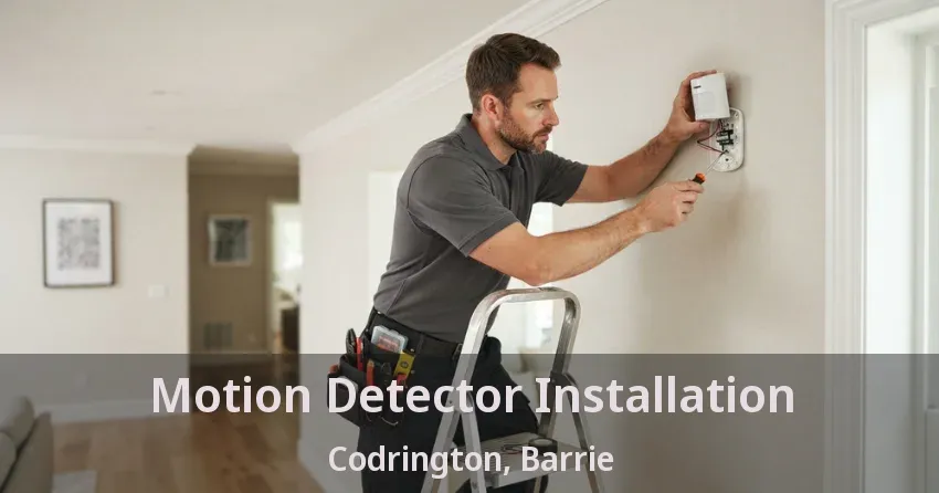 Motion Detector Installation Codrington, Barrie - ON