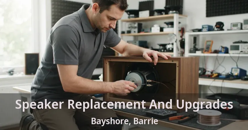 Speaker Replacement And Upgrades Bayshore, Barrie - ON